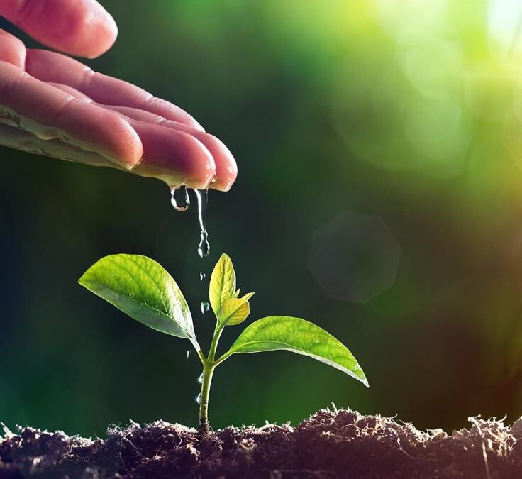Agricultural Sustainability